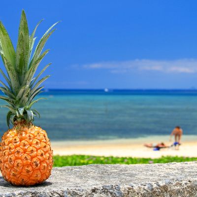 絶対に喜ばれる！沖縄旅行のお土産42選イメージ